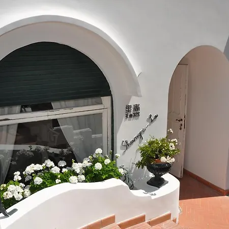 Shangri La Bed & Breakfast
